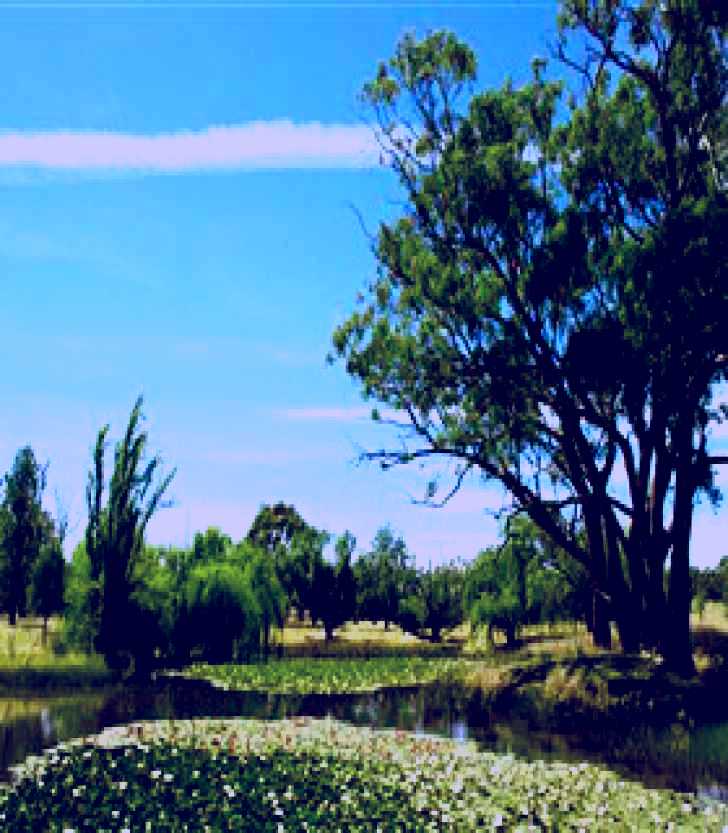 SubjectCoach | Wirraminna Environmental Education Centre