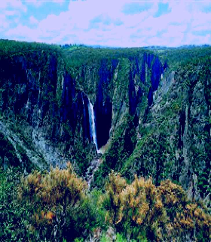 SubjectCoach | Wollomombi Falls