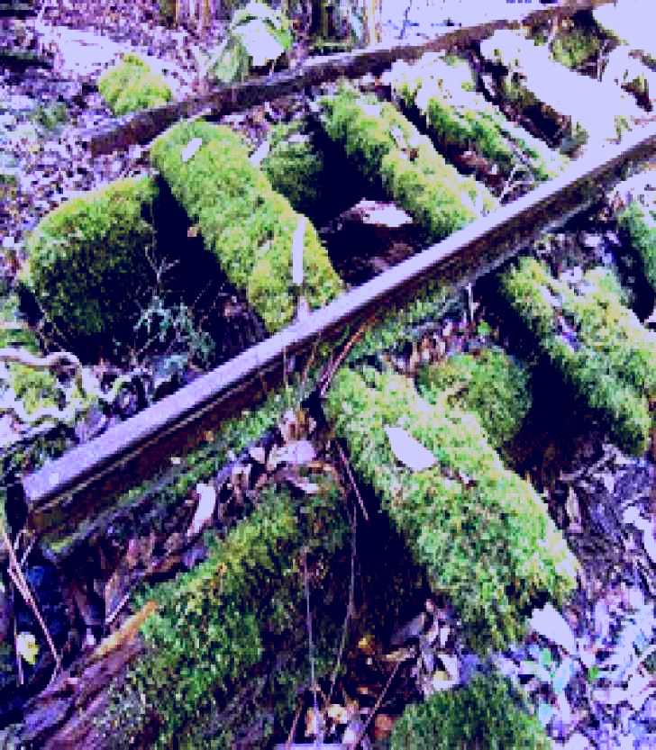 SubjectCoach | Wootton Historical Railway Walk