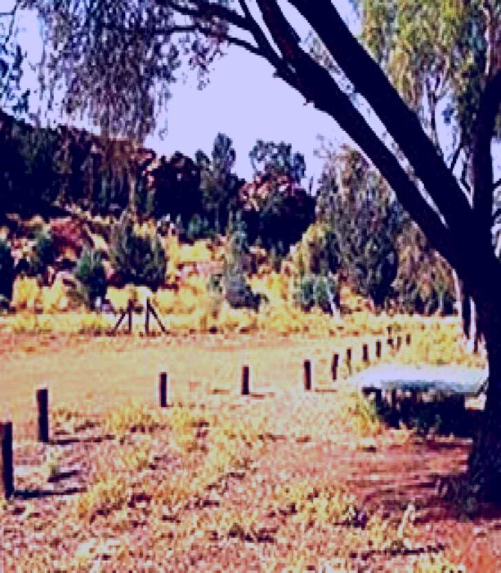 SubjectCoach | Native Gap Conservation Reserve