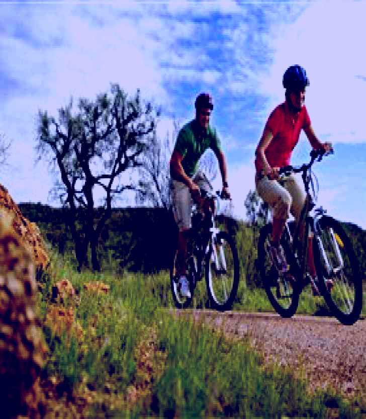 SubjectCoach | Simpsons Gap Bicycle Path