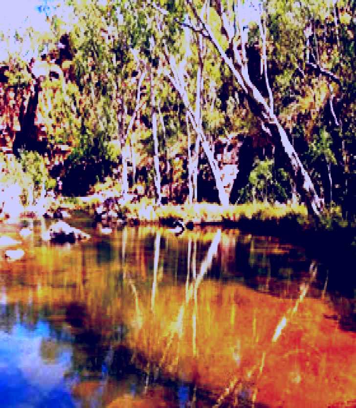 SubjectCoach | Umbrawarra Gorge Nature Park
