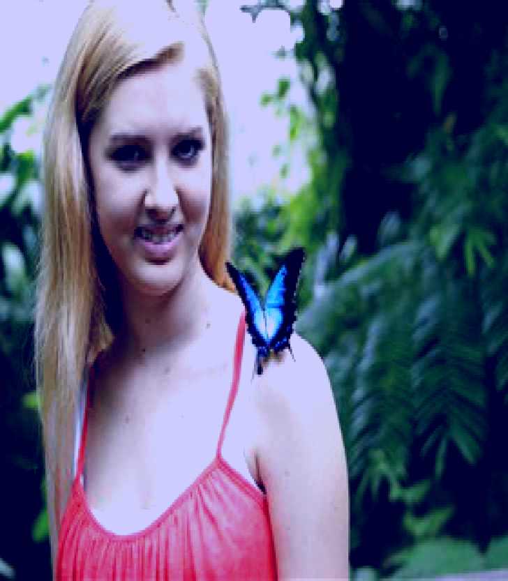 SubjectCoach | Australian Butterfly Sanctuary