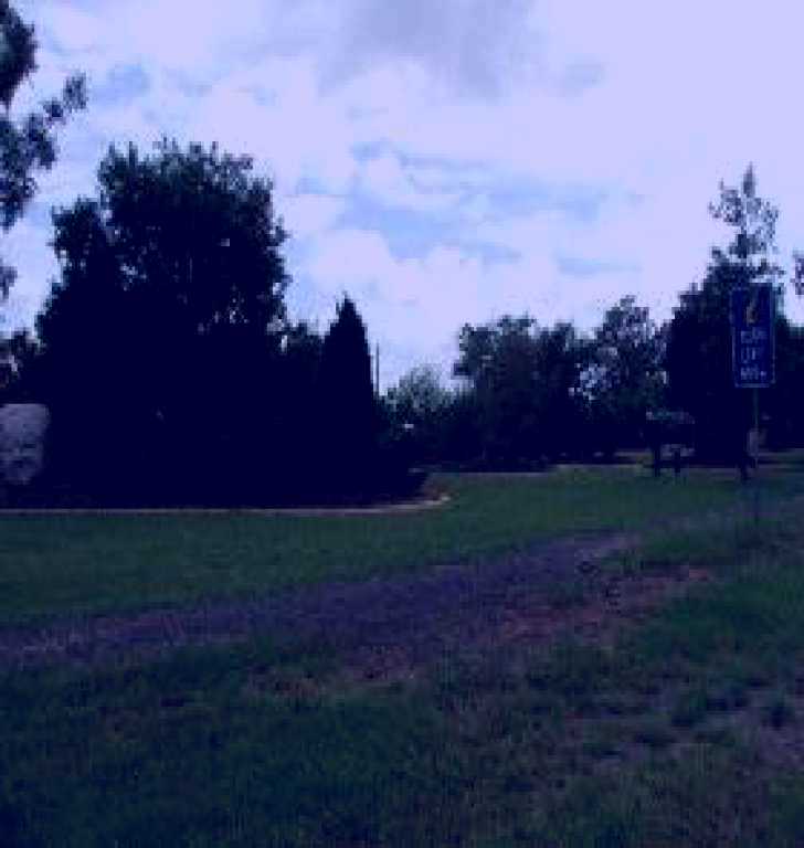 SubjectCoach | Autumn Park