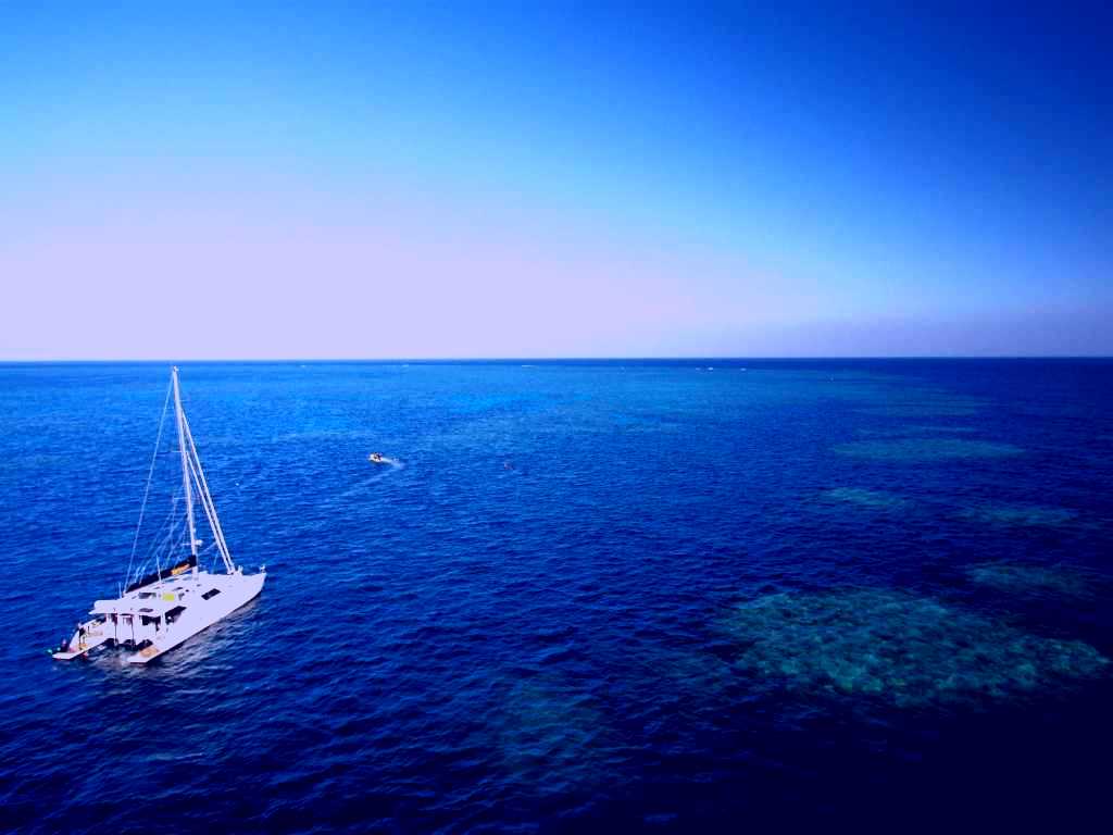 SubjectCoach | Bait Reef and Garys Lagoon Dive Site