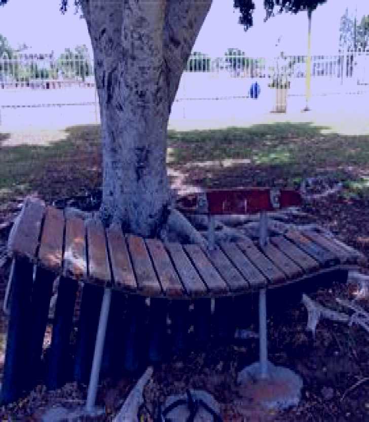 SubjectCoach | Barcaldine Musical Instruments