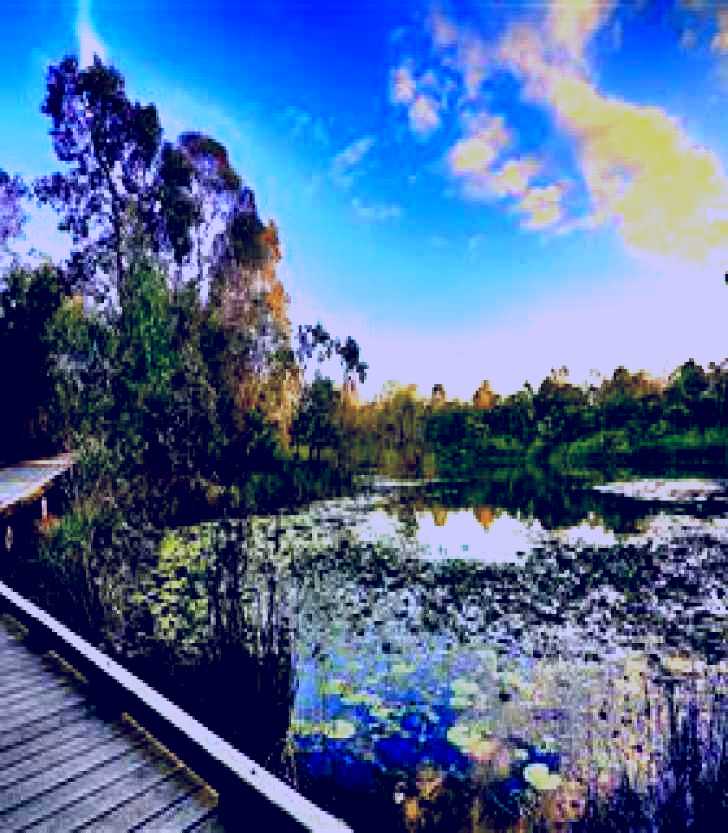 SubjectCoach | Berrinba Wetlands