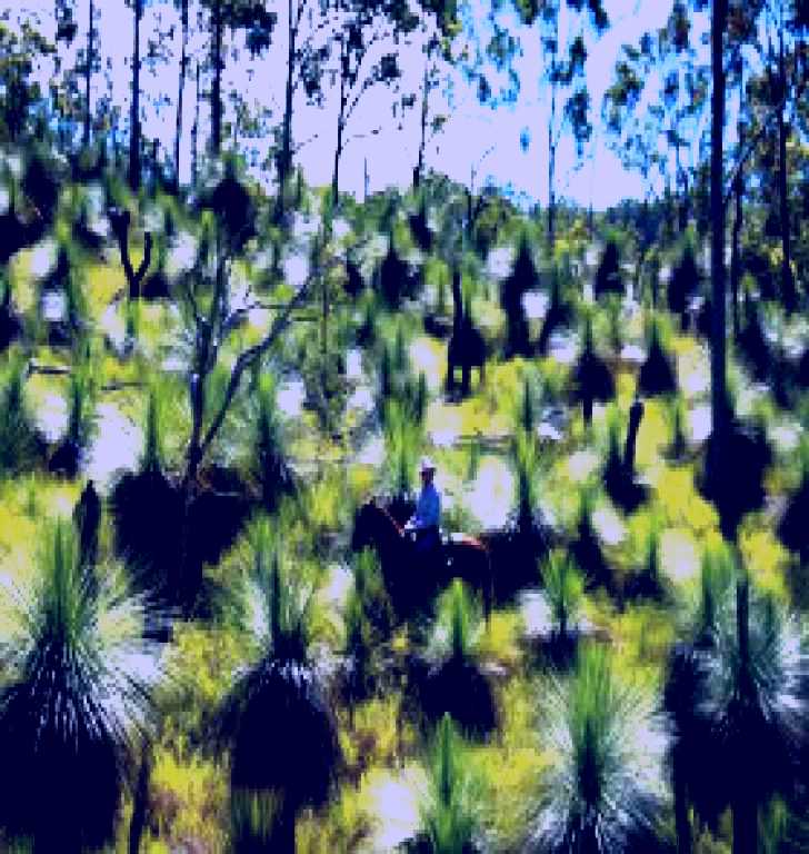 SubjectCoach | Bicentennial National Trail - Section 5