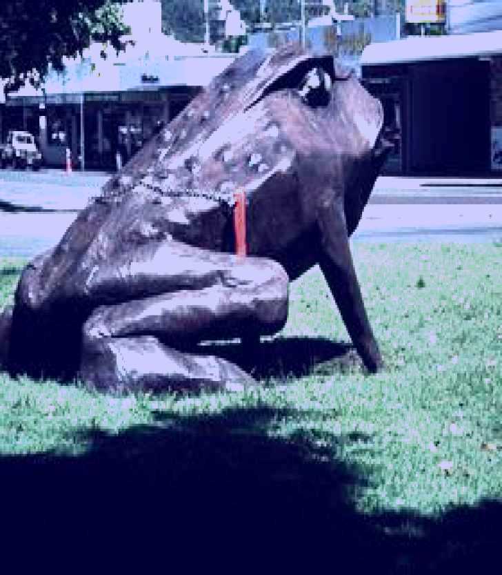 SubjectCoach | Big Cane Toad