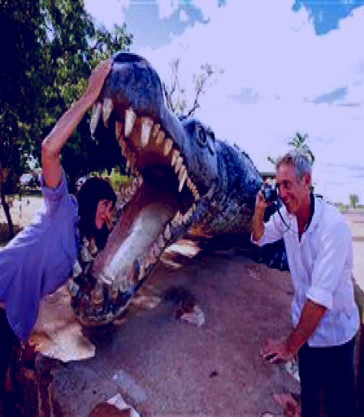 SubjectCoach | Big Crocodile