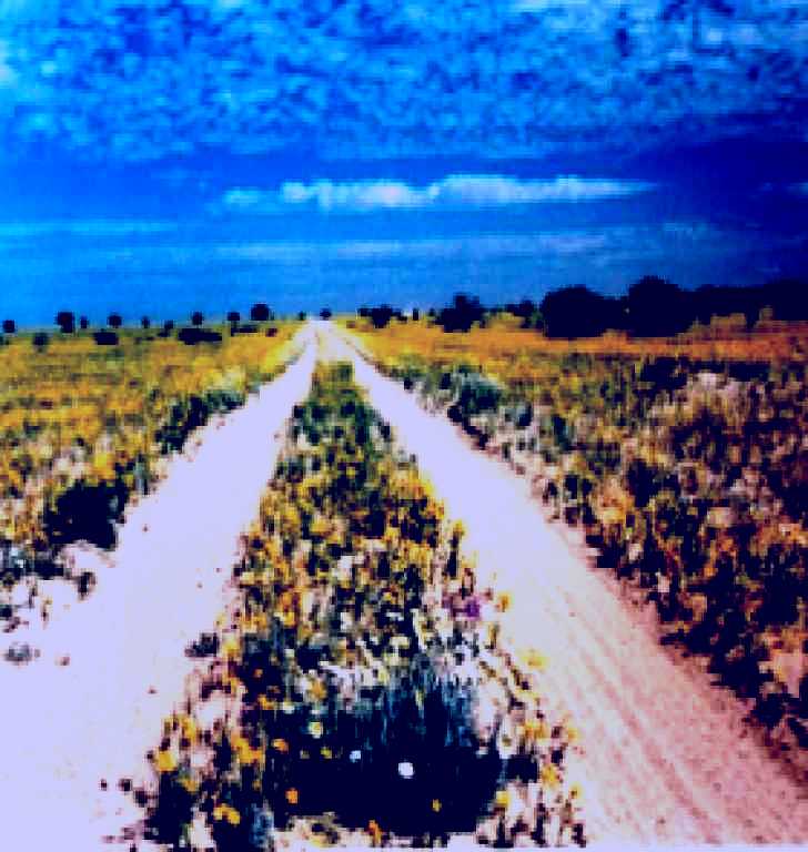 SubjectCoach | Birdsville Track