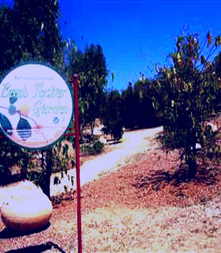 SubjectCoach | Bush Tucker Garden