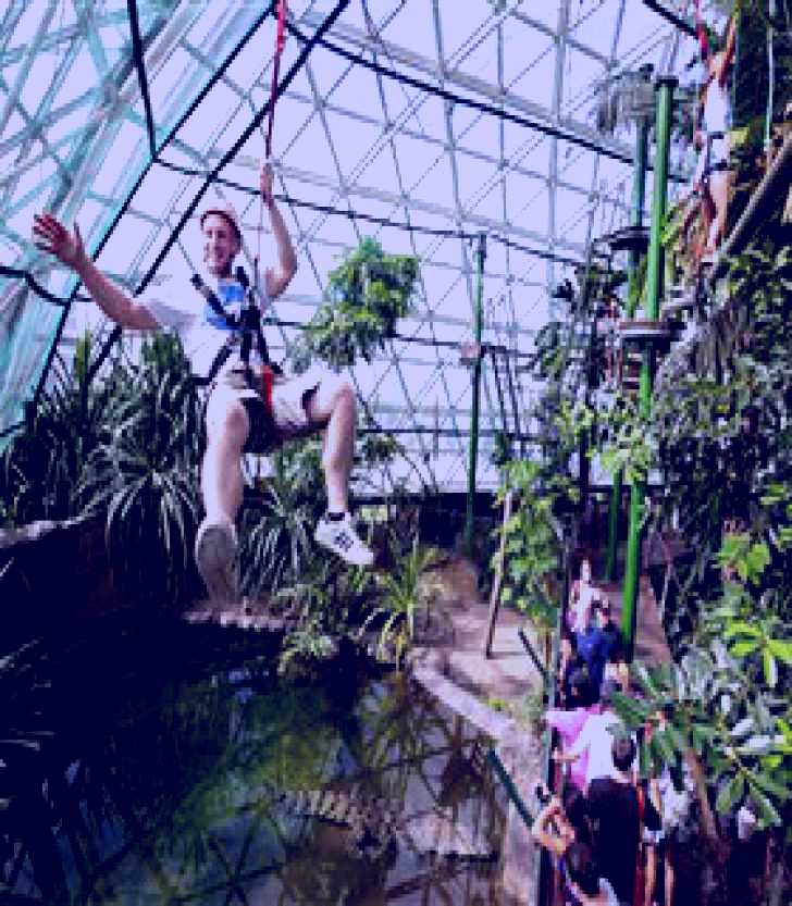 SubjectCoach | Cairns ZOOM and Wildlife Dome