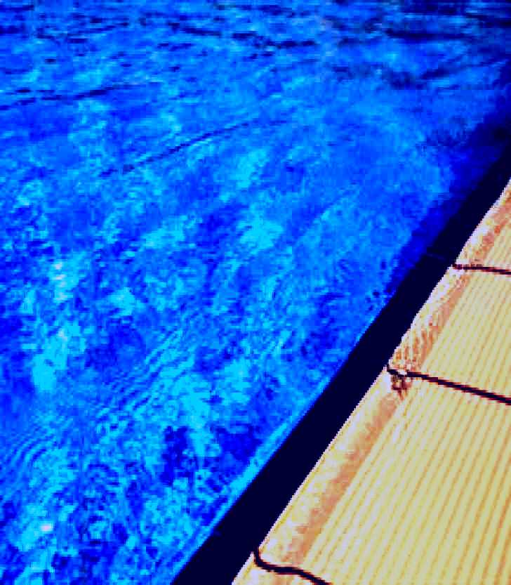 SubjectCoach | Calliope Swimming Pool