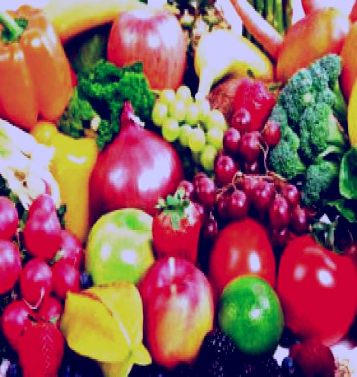 SubjectCoach | Caloundra Country Markets