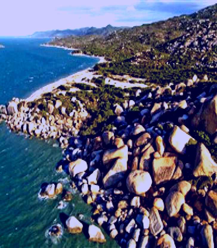 SubjectCoach | Cape Melville National Park