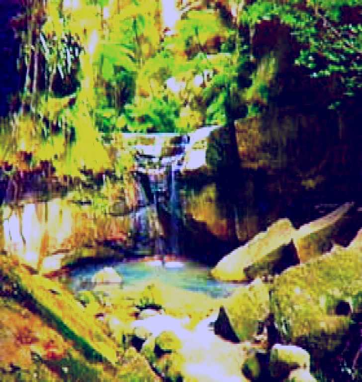 SubjectCoach | Carnarvon Gorge, Carnarvon National Park
