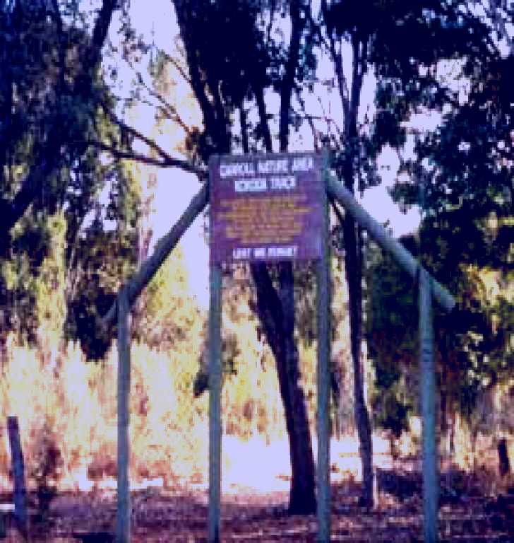 SubjectCoach | Carroll Nature Reserve Kokoda Track