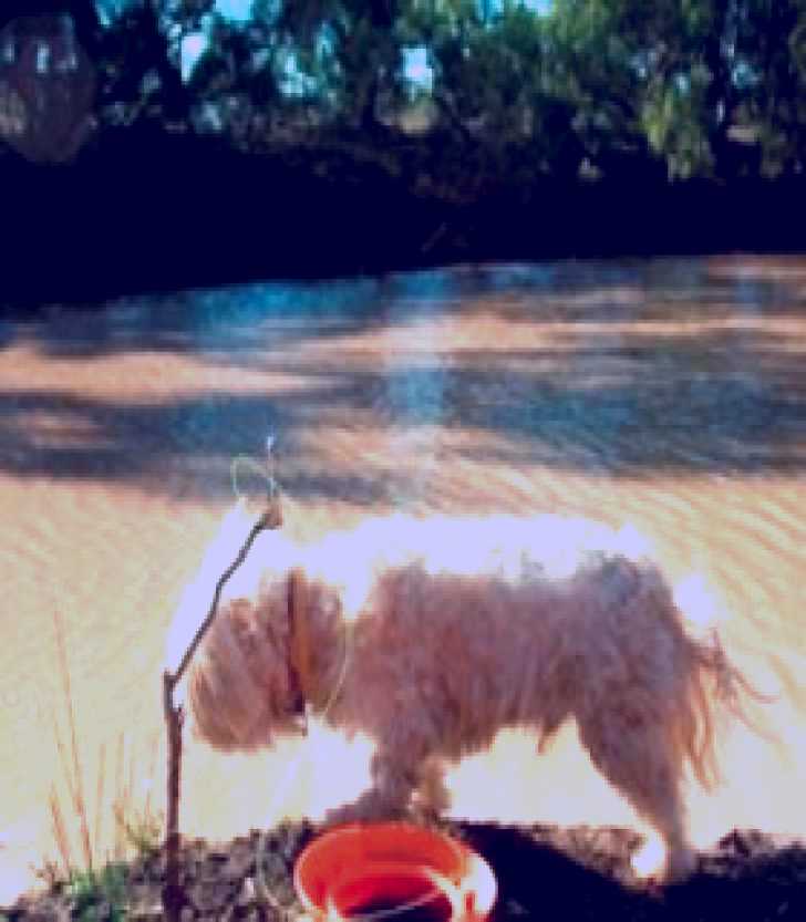 SubjectCoach | Charleville - 27 Mile Warrego River Fishing Spot