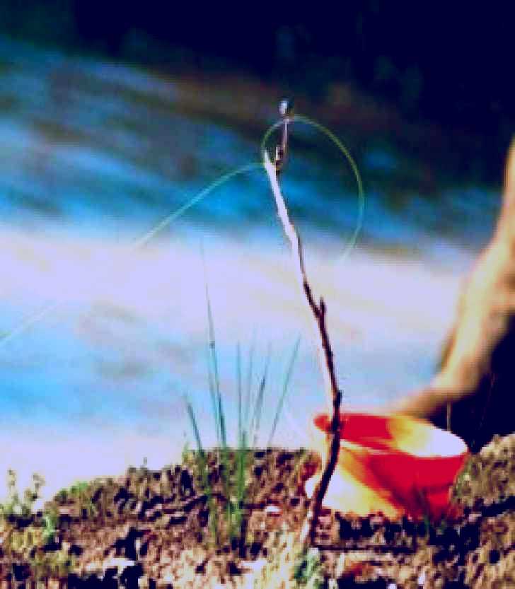SubjectCoach | Charleville - Mangalore Warrego River Fishing Spot
