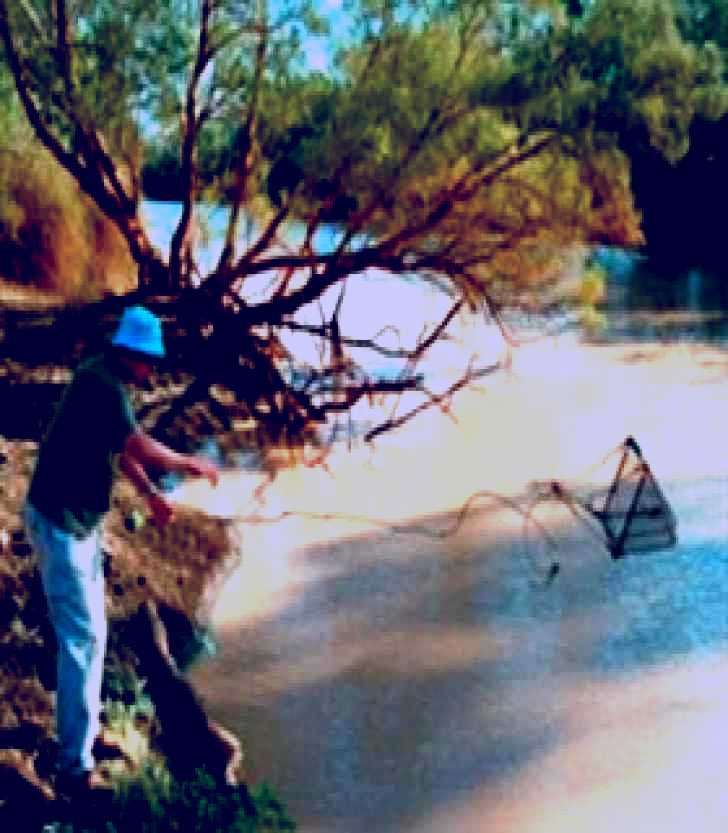 SubjectCoach | Charleville - Ward River Fishing Spot