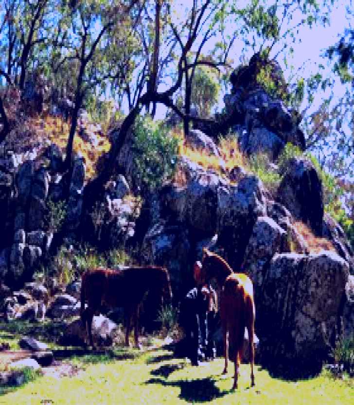 SubjectCoach | Coomba Falls
