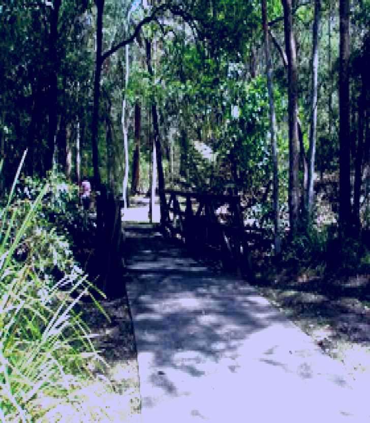 SubjectCoach | Cornubia Forest Park