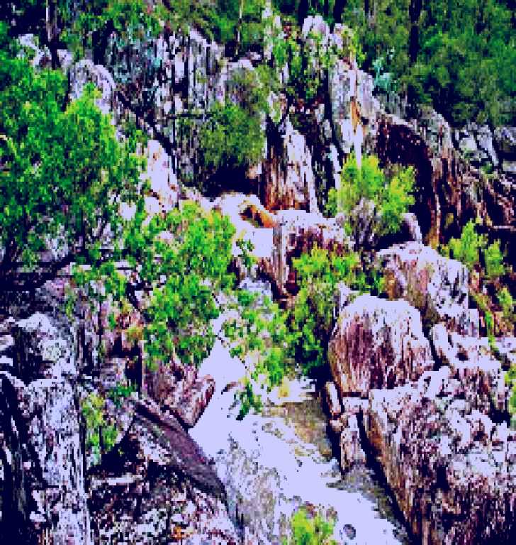 SubjectCoach | Crows Nest National Park