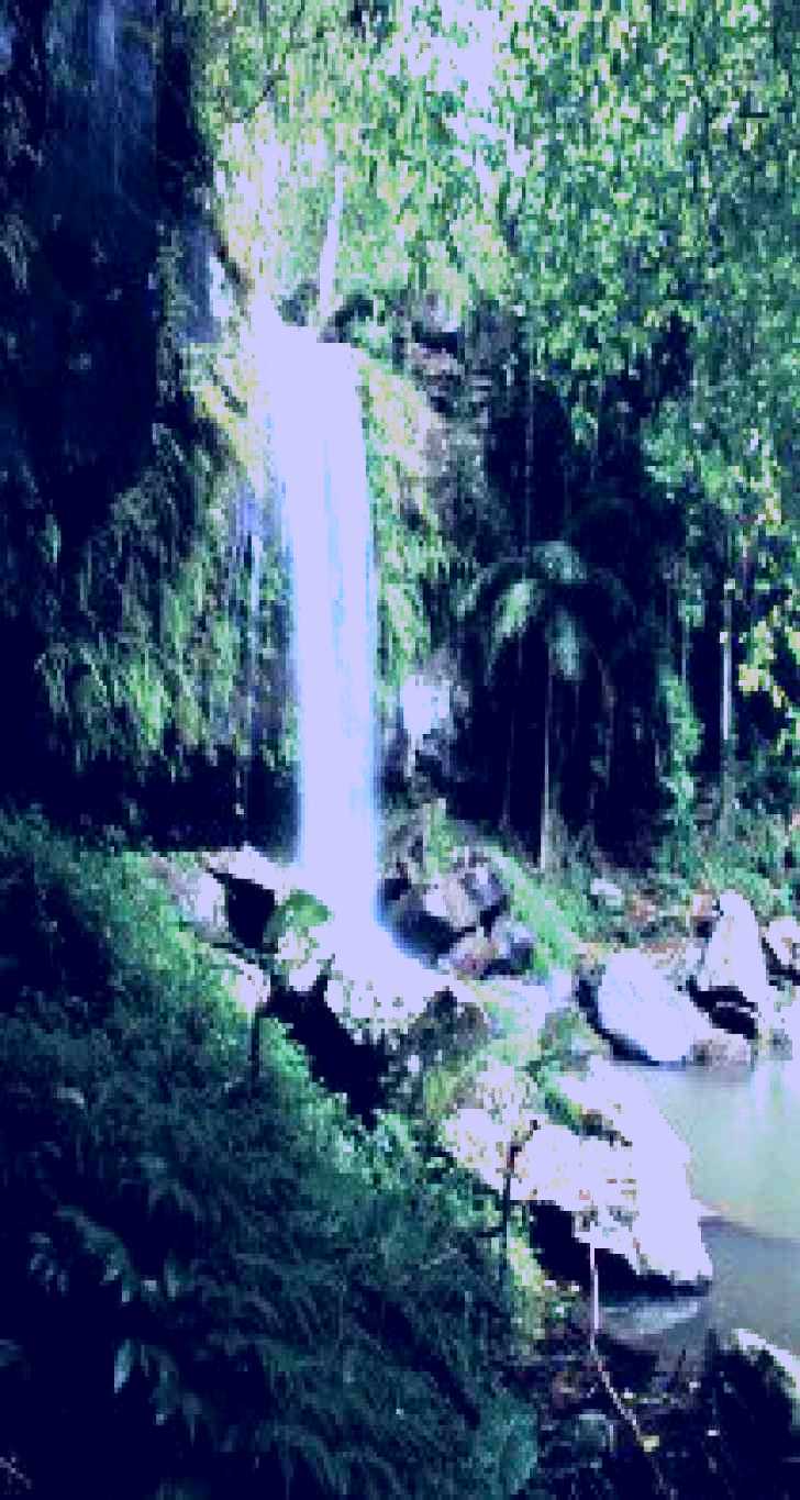 SubjectCoach | Curtis Falls, Joalah Section