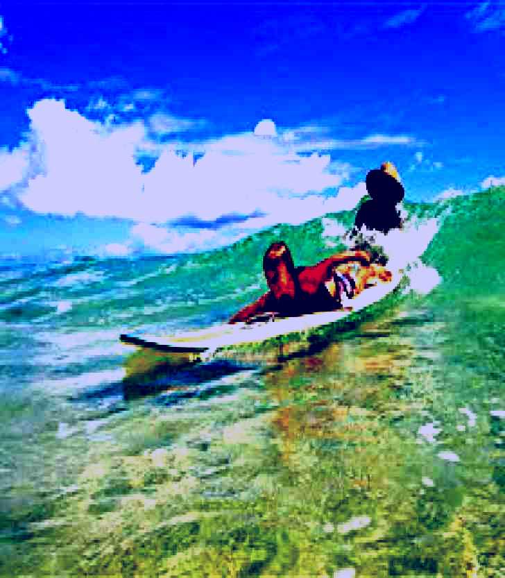 SubjectCoach | Cylinder Beach, North Stradbroke Island