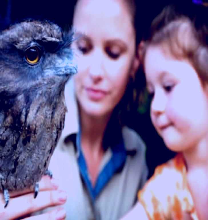 SubjectCoach | David Fleay Wildlife Park