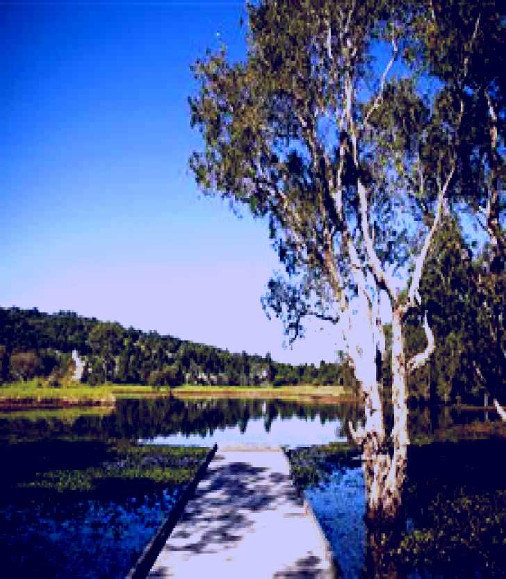 SubjectCoach | Eagleby Wetlands