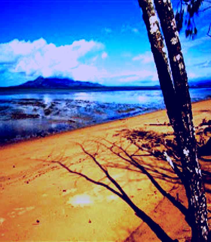SubjectCoach | Edmund Kennedy, Girramay National Park