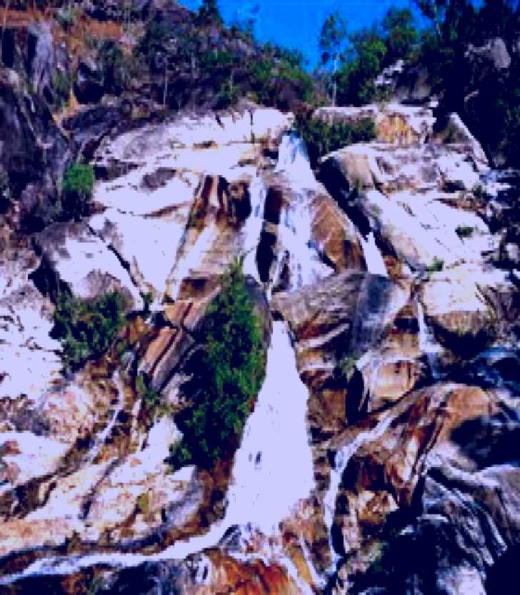 SubjectCoach | Emerald Creek, Dinden West Forest Reserve