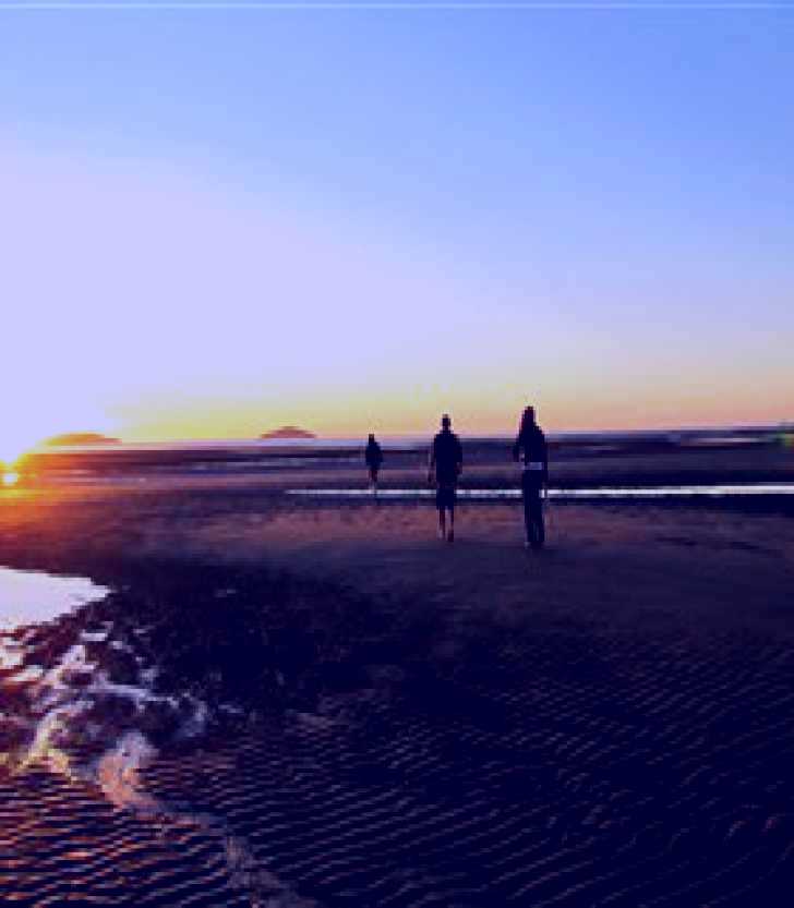 SubjectCoach | Far Beach