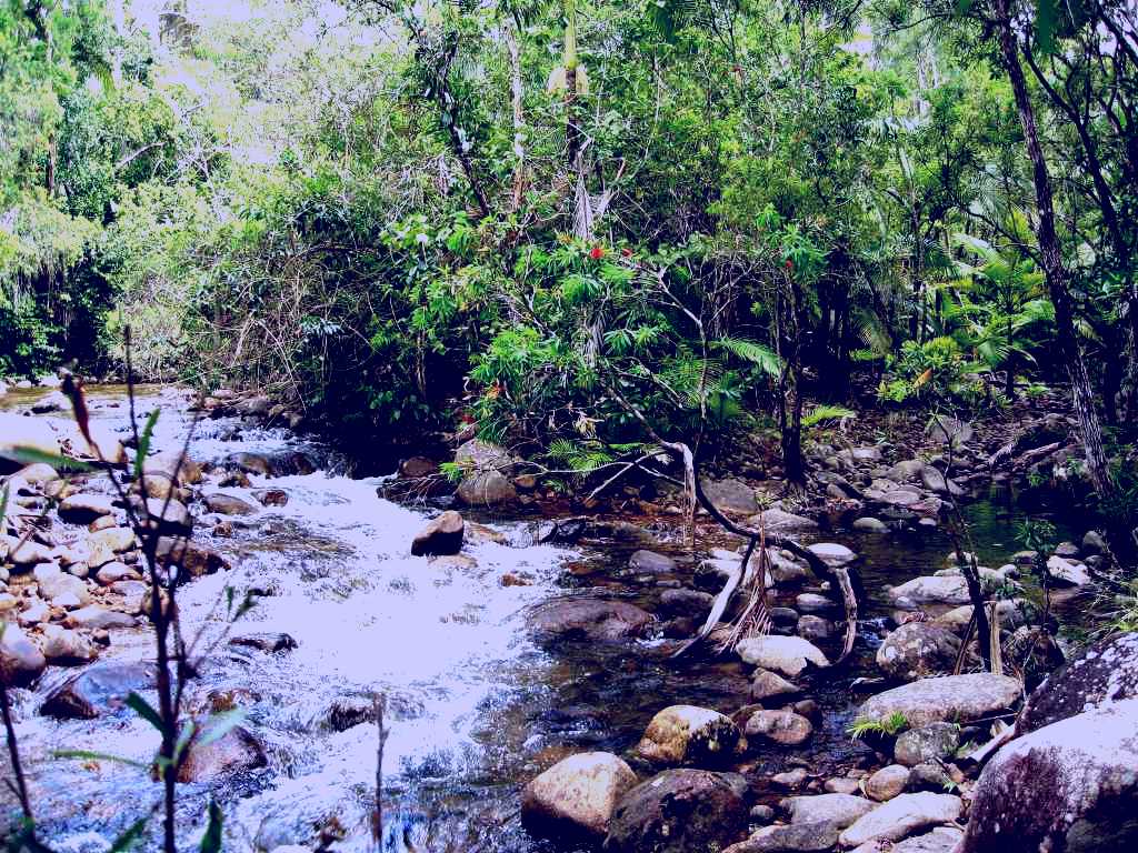 SubjectCoach | Finch Hatton Gorge