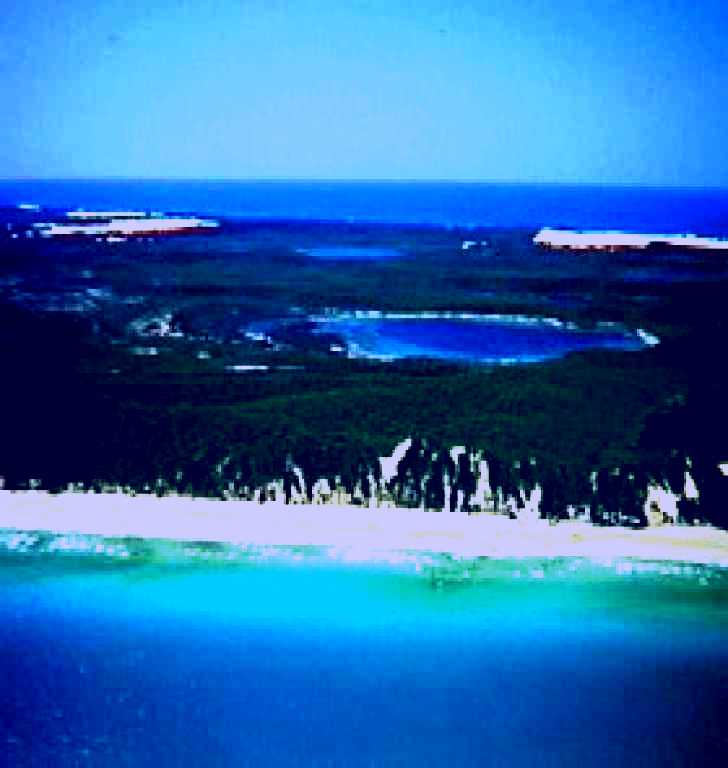SubjectCoach | Fraser Island, Great Sandy National Park