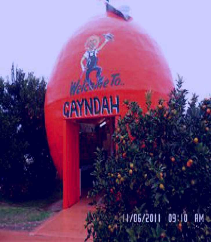 SubjectCoach | Gayndahs Big Orange
