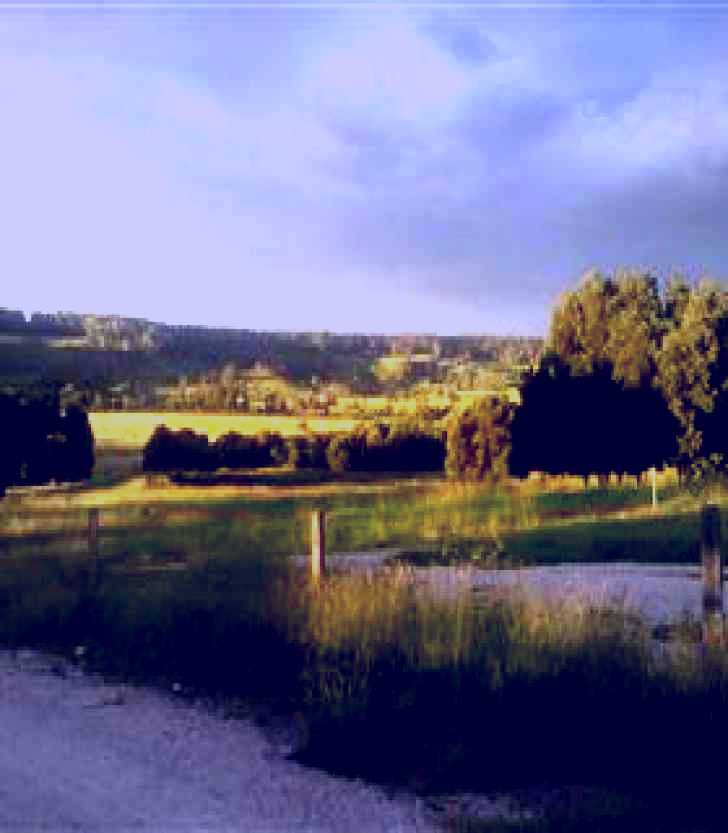 SubjectCoach | Gleneden Organic Farm and The Gleneden Bullock Team