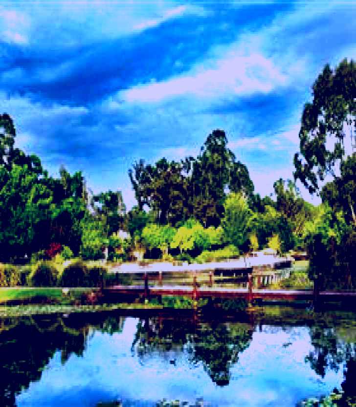SubjectCoach | Gold Coast Regional Botanic Gardens