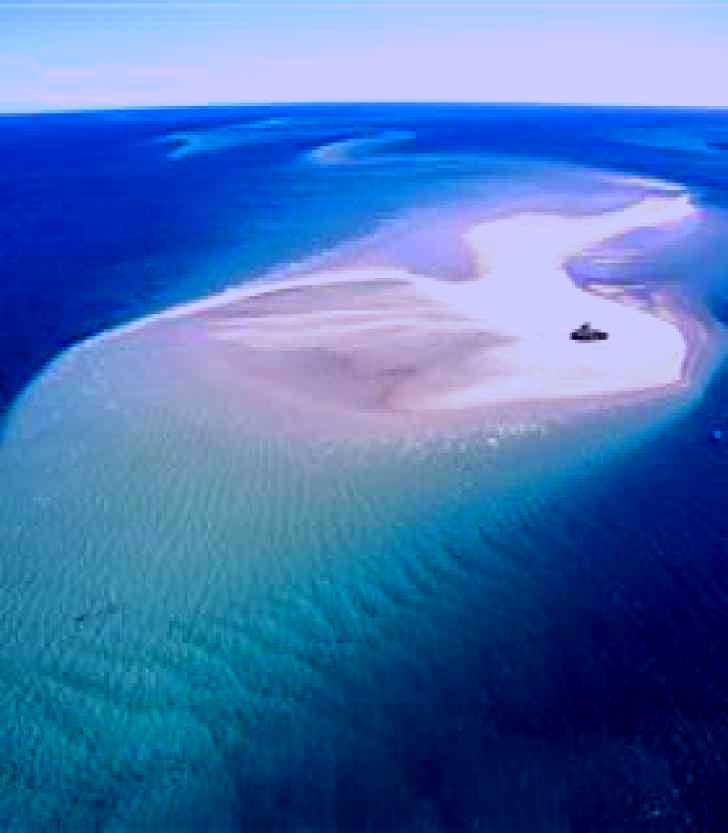 SubjectCoach | Great Sandy Biosphere