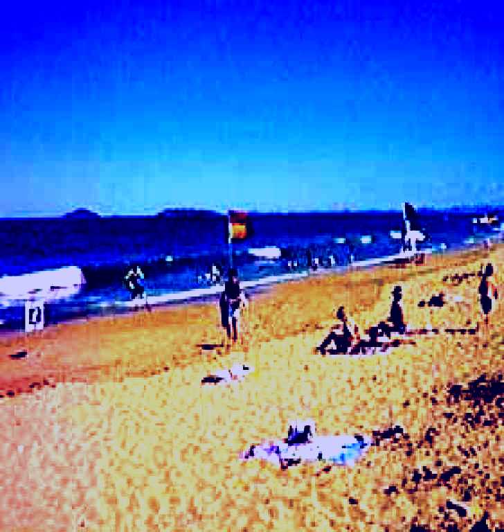SubjectCoach | Harbour Beach