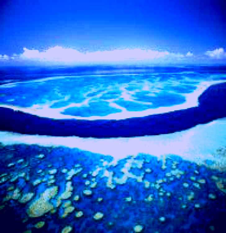 SubjectCoach | Hardy Reef