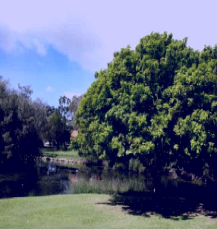 SubjectCoach | Hervey Bay Botanic Gardens