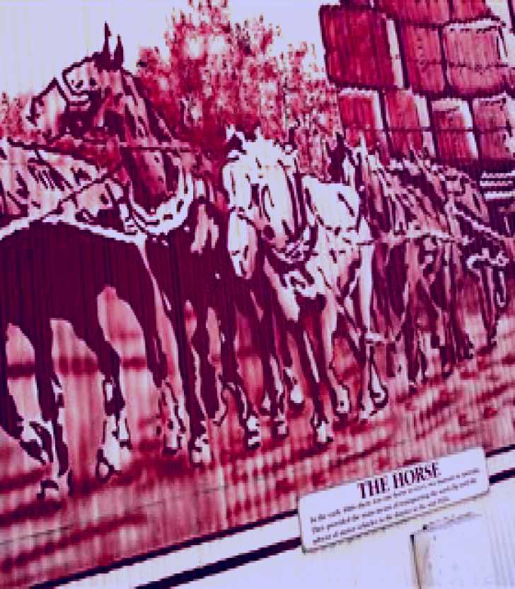 SubjectCoach | Historical Mural Series, Millmerran and Cecil Plains