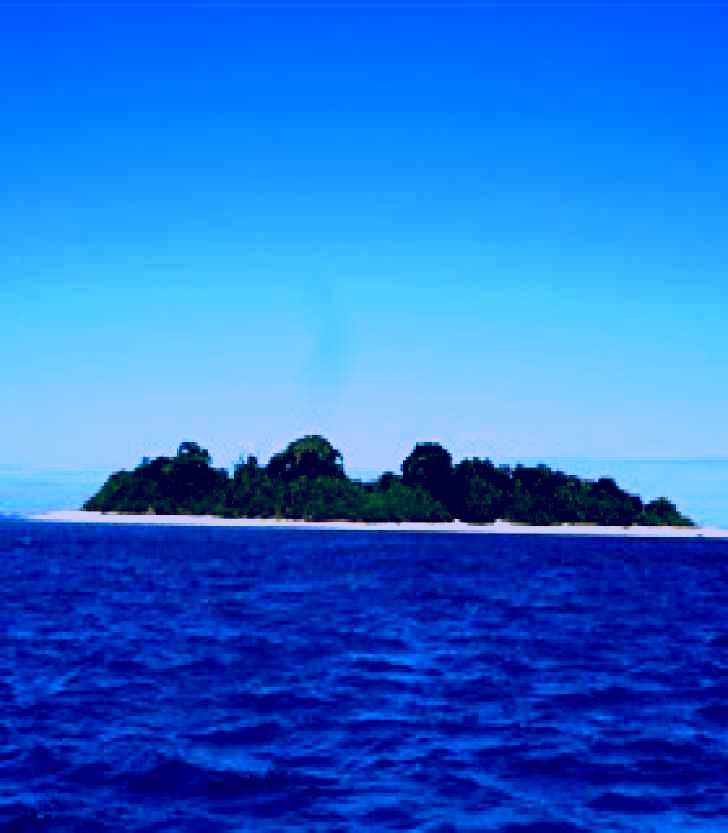 SubjectCoach | Hope Islands National Park