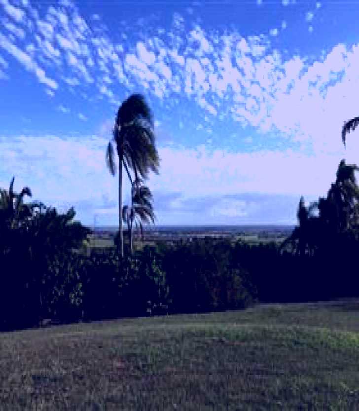 SubjectCoach | Hummock Lookout