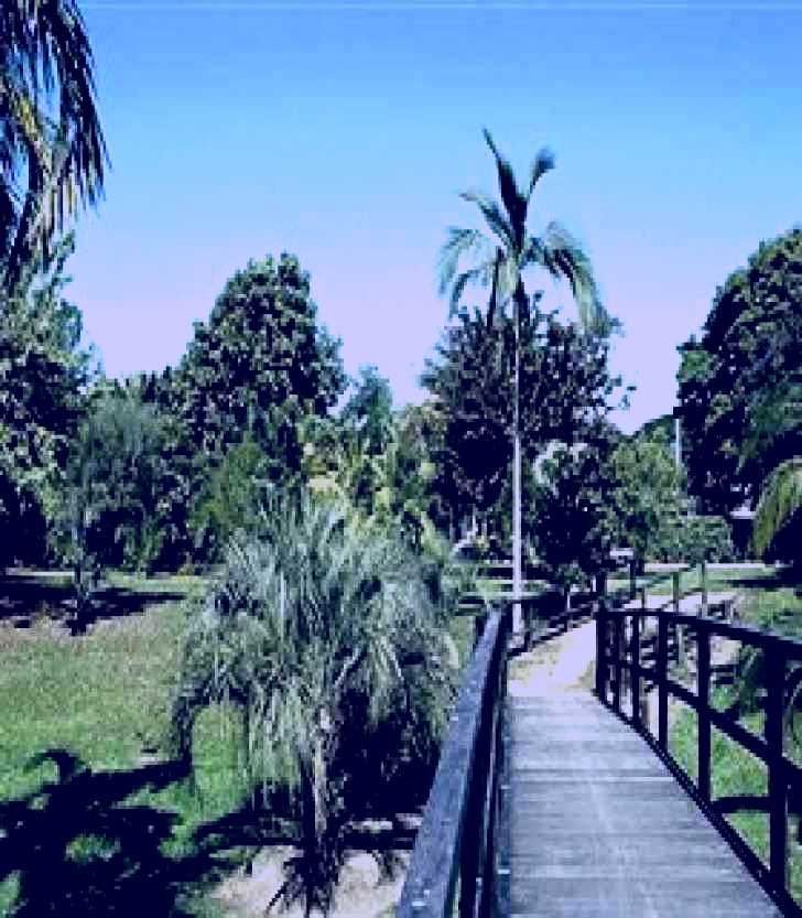 SubjectCoach | Ingham Memorial Gardens