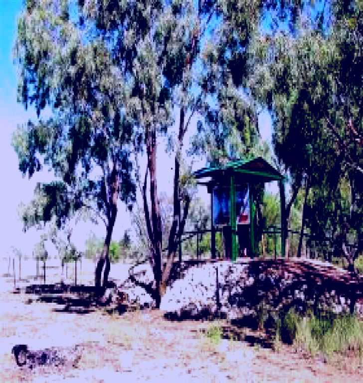 SubjectCoach | Iningai Nature Reserve