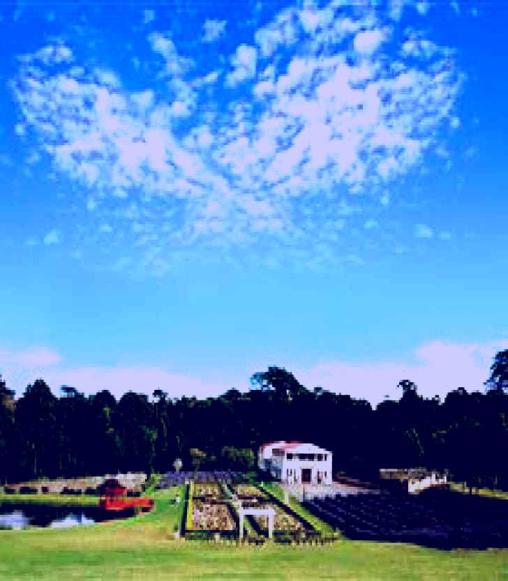 SubjectCoach | Jasmin Organics Skincare Farm and Factory